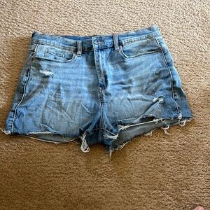 Blank NYC the Essex Jean shorts